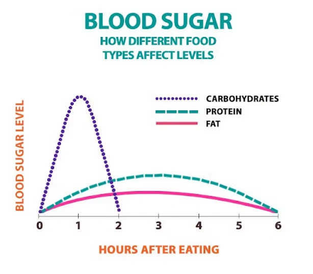 Graph showing blood sugar response comparison between carbohydrates, protein, and fat over 6 hours after eating.