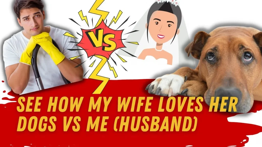 showing a fun, loving dynamic between a wife, her dogs, and her husband.