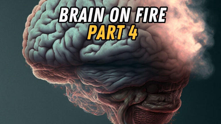 Brain on fire neuroinflammation cognitive decline mood disorders chronic pain functional medicine treatment