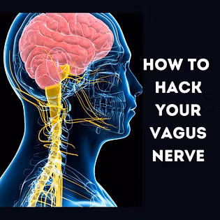 Medical diagram of the vagus nerve and brain with exercises to improve gut-brain connection and digestive health.