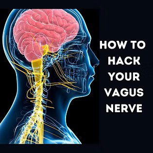 Medical diagram of the vagus nerve and brain with exercises to improve gut-brain connection and digestive health.