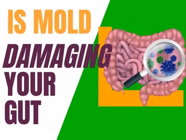 mold toxicity gut health connection leaky gut syndrome