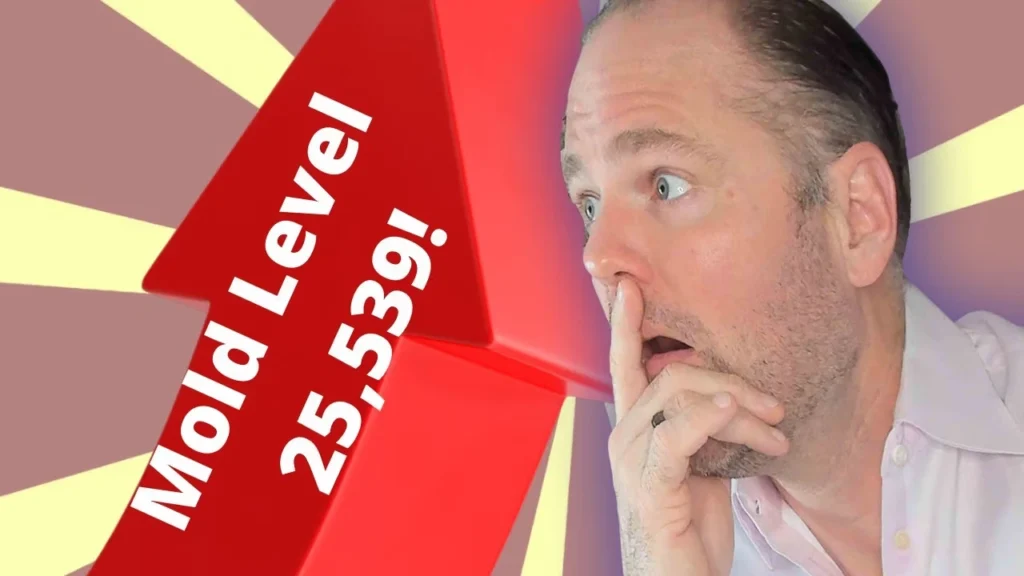 Lab test result showing dangerously high mold toxicity level of 25,539 with normal range under 200.