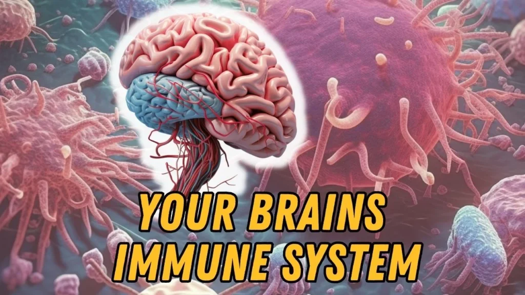 Brain immune system diagram showing glial cells protecting neural tissue from inflammation and damage.
