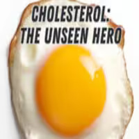 Infographic revealing cholesterol as a vital health hero, essential for brain function, hormone production, and cellular structure.