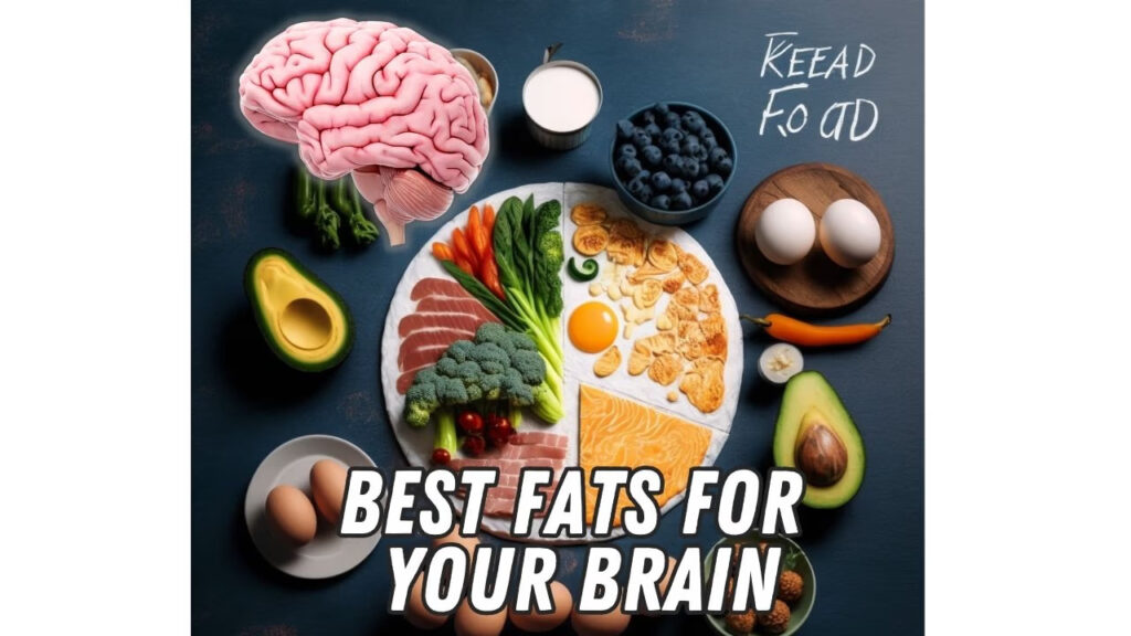 A visual guide to the best fats for the brain, including avocado, nuts, and eggs.
