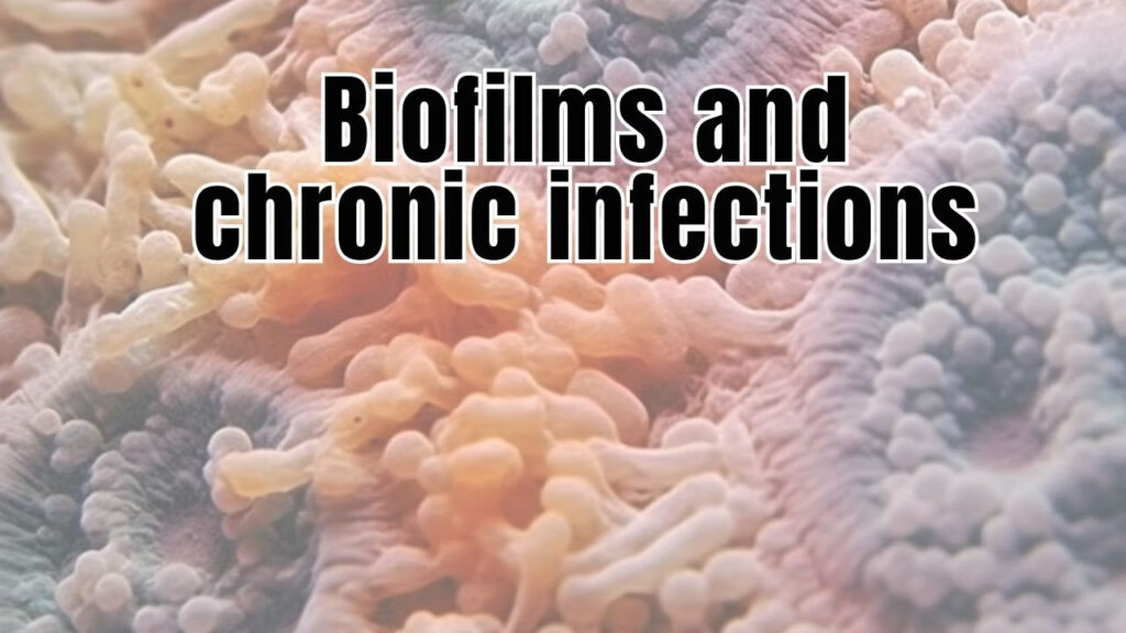 Microscopic view of bacterial biofilms showing clustered microorganisms in protective matrix formations