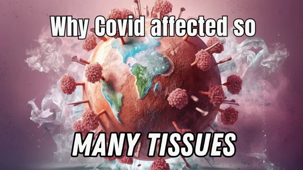 Unraveling How COVID-19 Affects Various Tissues