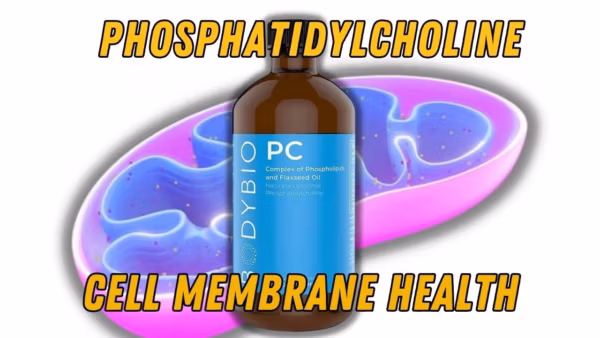 Chemical structure of phosphatidylcholine highlighting its role in cell membrane integrity and fluidity.