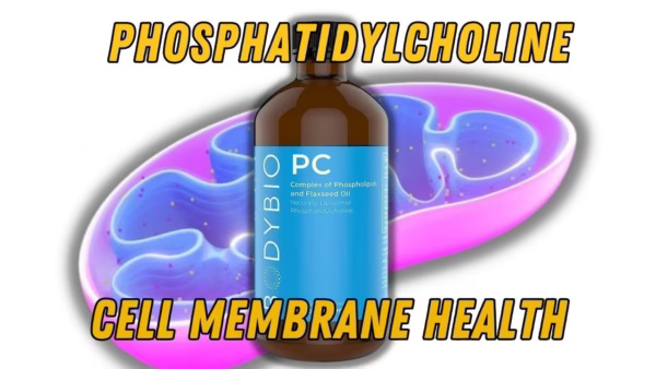 Chemical structure of phosphatidylcholine highlighting its role in cell membrane integrity and fluidity.