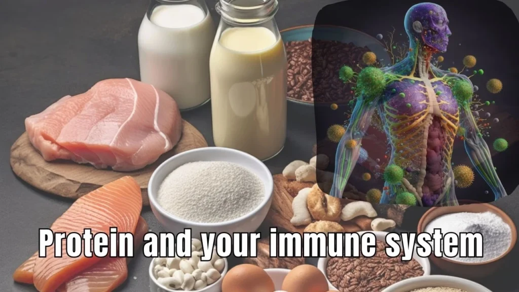 Infographic on the role of dietary protein in supporting a healthy immune system.