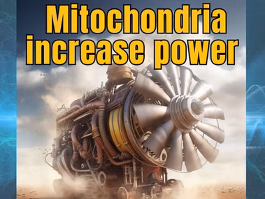 Graphic with the text Mitochondria increase power alongside six strategies to boost cellular energy, including diet, supplements, and therapies.
