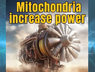Graphic with the text Mitochondria increase power alongside six strategies to boost cellular energy, including diet, supplements, and therapies.
