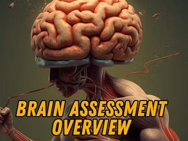 Brain assessment overview diagram showing frontal lobe, parietal lobe, temporal lobe, occipital lobe, cerebellum, and basal ganglia.