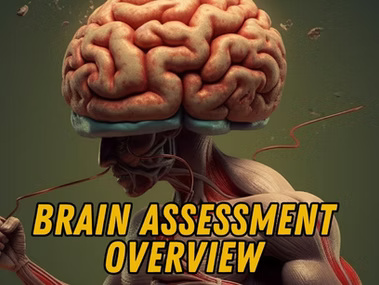 Brain assessment overview diagram showing frontal lobe, parietal lobe, temporal lobe, occipital lobe, cerebellum, and basal ganglia.