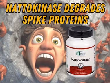 Diagram illustrating how the enzyme Nattokinase degrades and breaks down viral spike proteins in the bloodstream.
