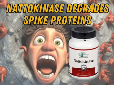 Diagram illustrating how the enzyme Nattokinase degrades and breaks down viral spike proteins in the bloodstream.