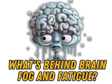Blood-brain barrier permeability causing brain fog, fatigue, and cognitive decline symptoms