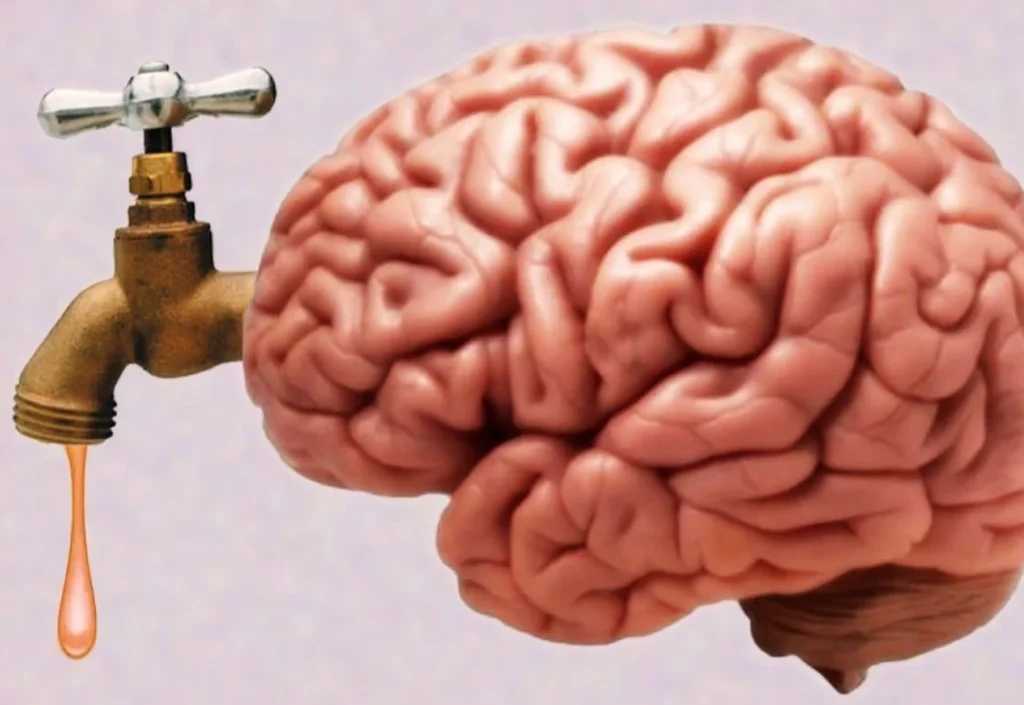 Leaky brain and blood-brain barrier illustration showing inflammation, brain fog, and neurological symptoms