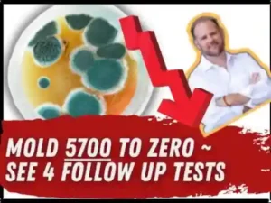 Four sequential mold toxicity test results showing reduction from 5700 to zero over nine months