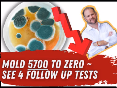 Four sequential mold toxicity test results showing reduction from 5700 to zero over nine months