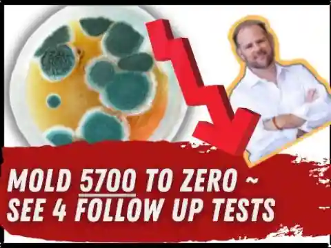 Four sequential mold toxicity test results showing reduction from 5700 to zero over nine months