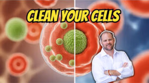 Infographic on cell membrane detoxification and the critical role of phosphatidylcholine for reducing inflammation and chronic illness.