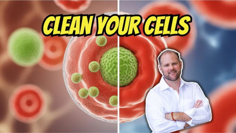 Infographic on cell membrane detoxification and the critical role of phosphatidylcholine for reducing inflammation and chronic illness.
