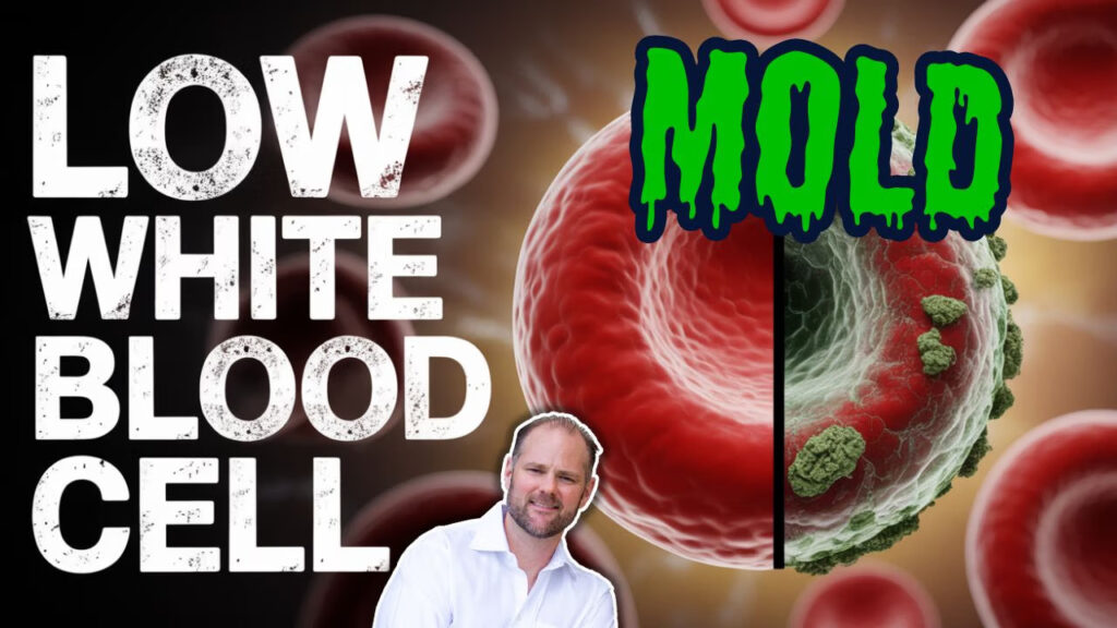 Infographic on how hidden toxins like mold, heavy metals, and pollutants cause low white blood cell count, featuring a case study and a 3-step healing plan.