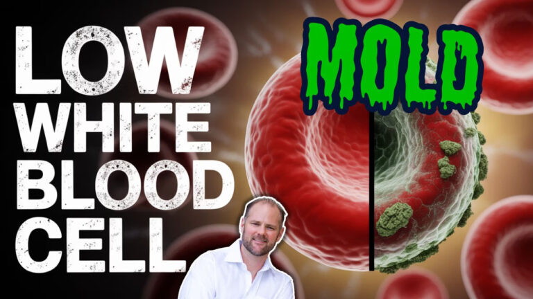 Infographic on how hidden toxins like mold, heavy metals, and pollutants cause low white blood cell count, featuring a case study and a 3-step healing plan.