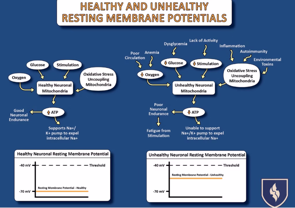 Diagram comparing healthy and unhealthy neuronal resting membrane potentials showing impact of mitochondria ATP production and Na+/K+ pump function on nerve cell voltage