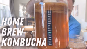 Infographic showing a temperature conversion chart for brewing kombucha and essential equipment like SCOBY, jars, and tea.