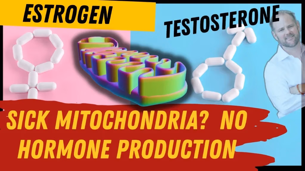 How sick mitochondria effect estrogen and testosterone
