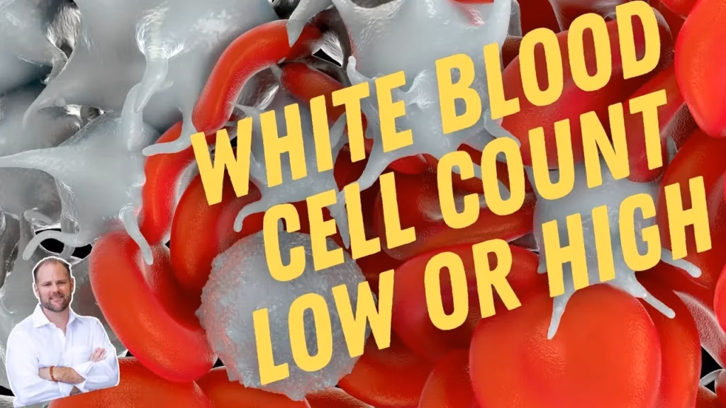 Illustration explaining high and low white blood cell count implications for immune health and disease risk.