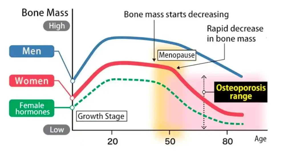 Line graph comparing bone mass changes in men and women from growth through old age, showing menopause impact and osteoporosis range.