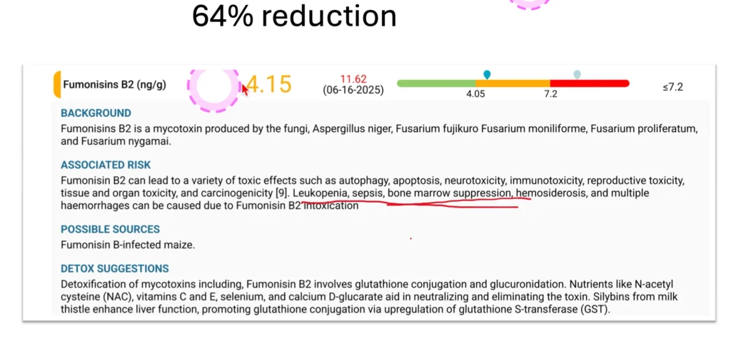 Laboratory report showing 64% reduction in Fumonisin B2 mycotoxin levels after detox treatment, now within safe range.