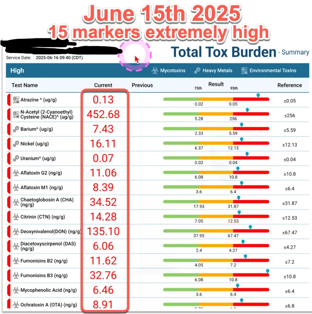 Laboratory test results showing 15 elevated environmental toxin markers including mycotoxins, heavy metals, and pesticides from June 2025 analysis.