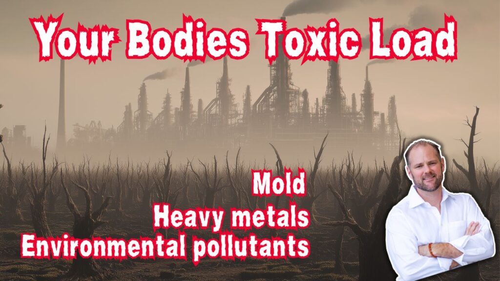 Toxic Load Explained: How Mold, Heavy Metals & Pollutants Block Healing
