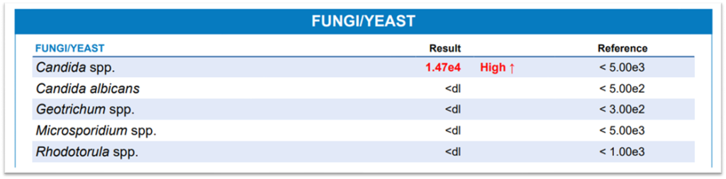 Laboratory test results showing elevated Candida species at 1.47e4 with normal levels for other fungal organisms.