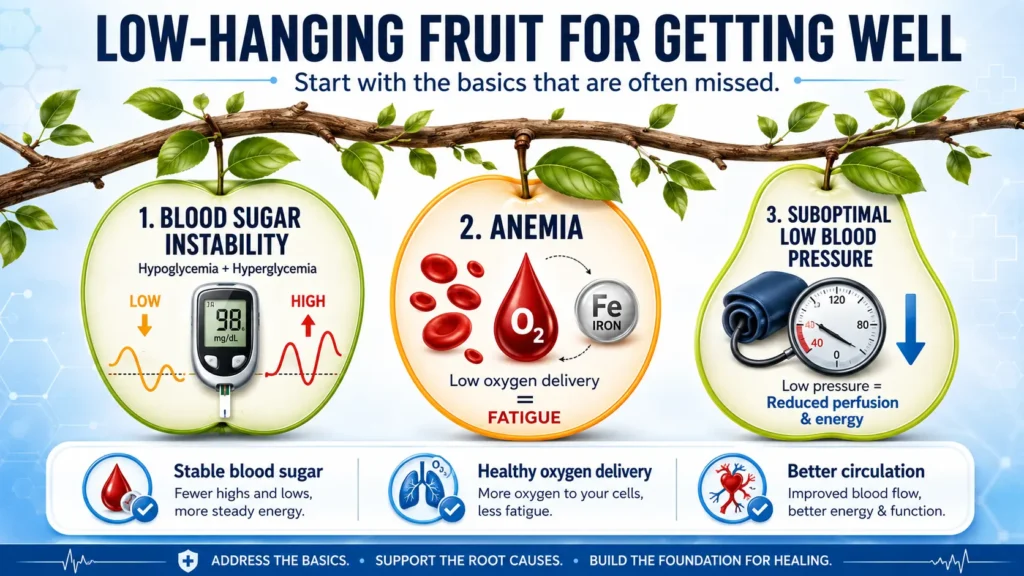 Infographic showing 3 low-hanging fruits for getting well: blood sugar instability, anemia with low oxygen delivery, and suboptimal low blood pressure causes